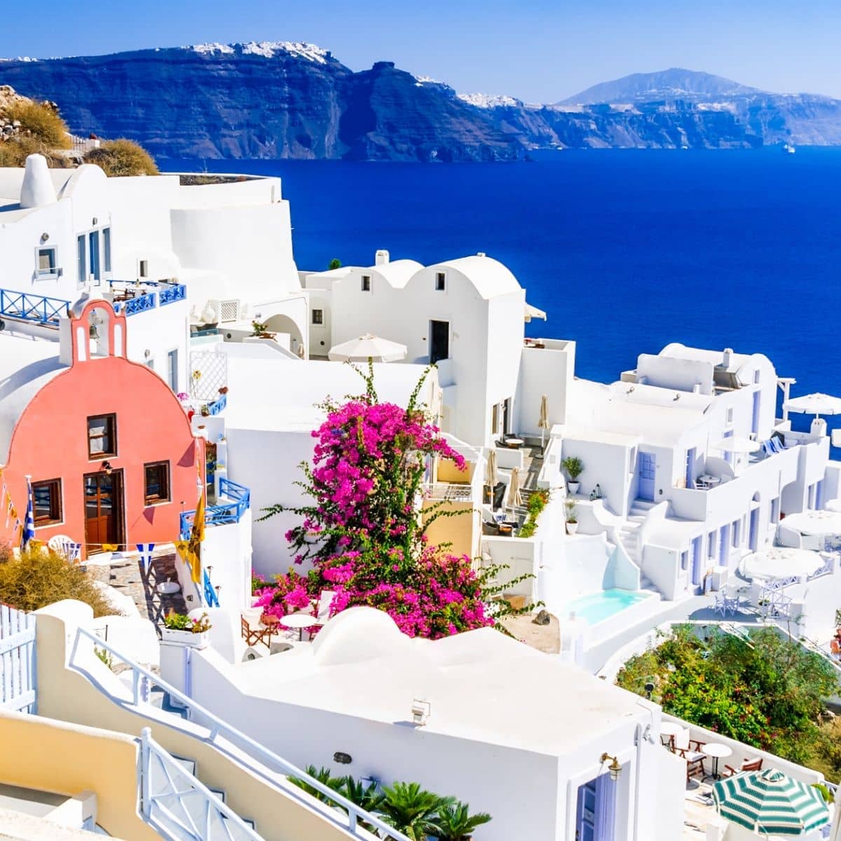 Oia village with pink bougainvillea and white buildings