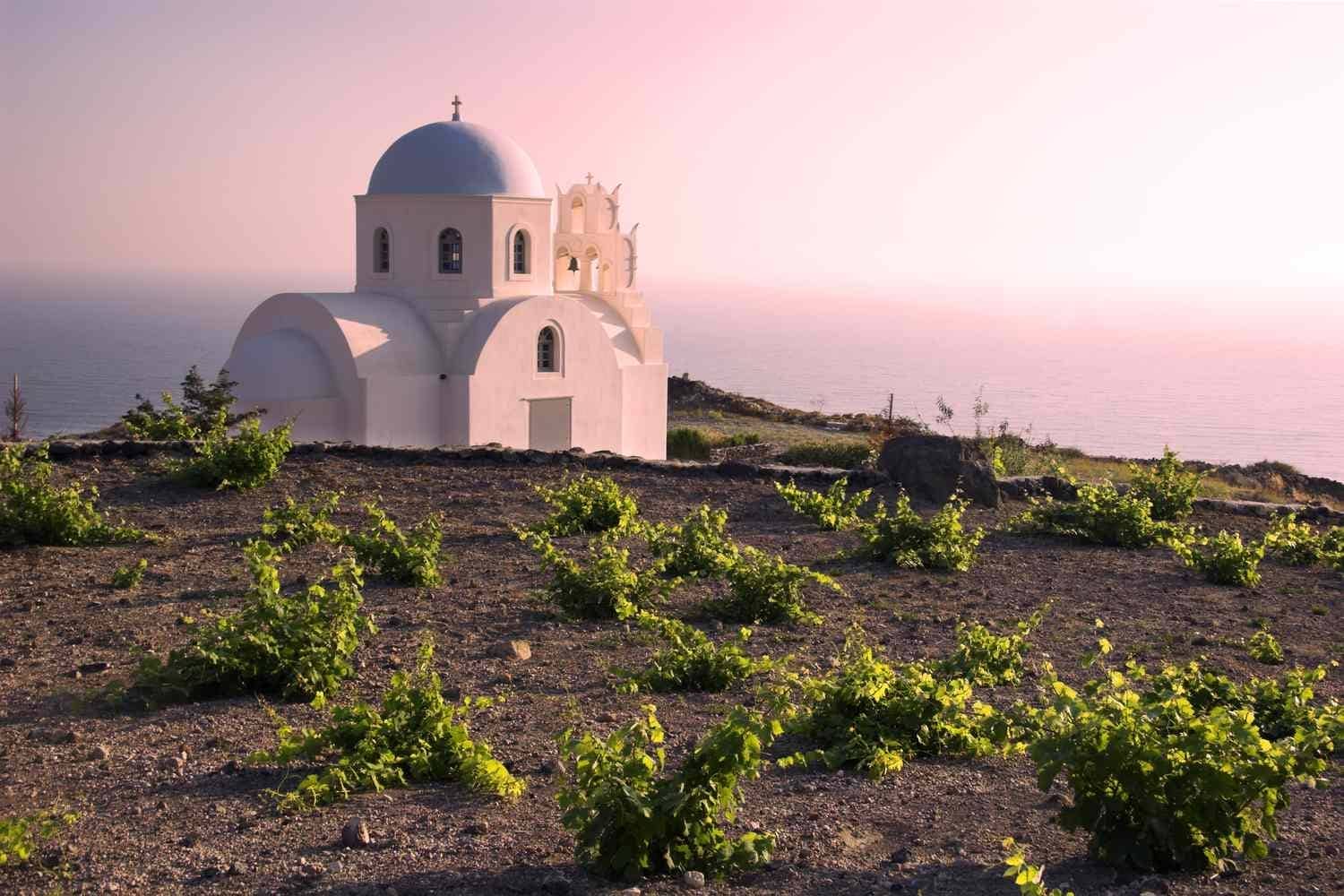 Santorini vineyard with white church and sea